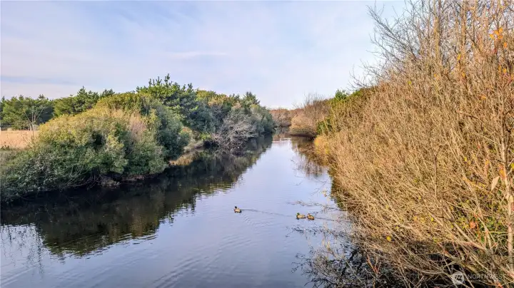 The Surfside canals offer fishing for HOA members only.