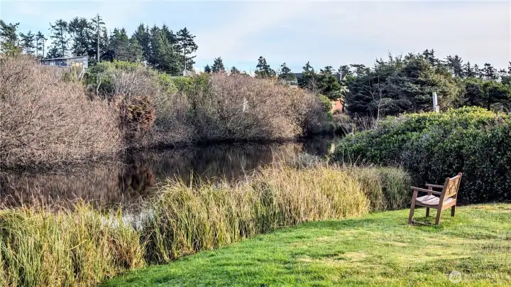 Peaceful seating next to the canals.