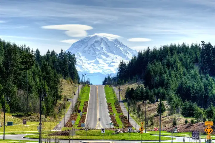Enjoy Mt Rainier