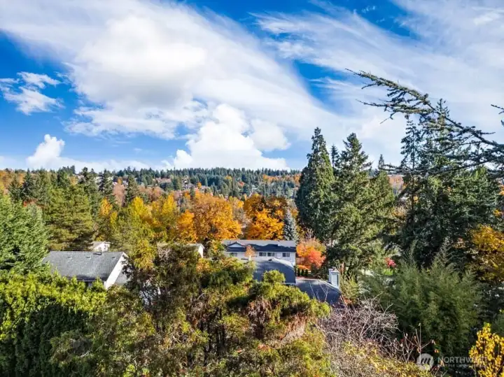 Outlook from area of main-level deck of home (approximate)