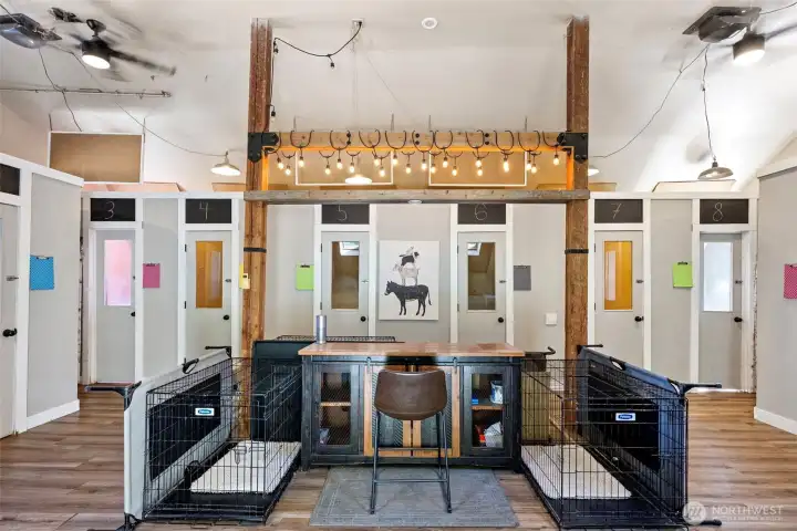 11 kennel dog boarding setup. 11 kennel dog boarding setup.