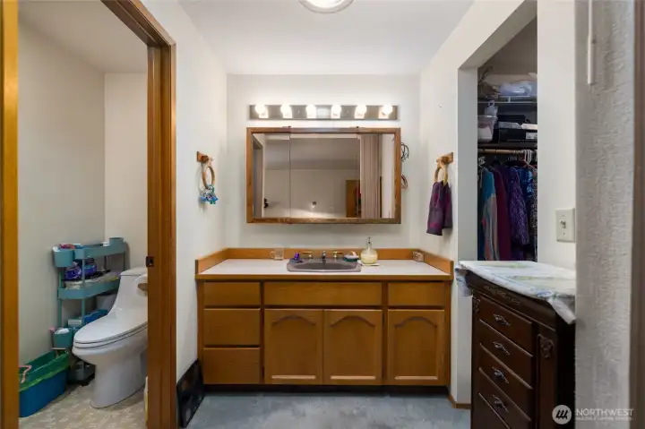Primary bath features a shower, out of sight to the left in this photo. and a walk-in closet to the right