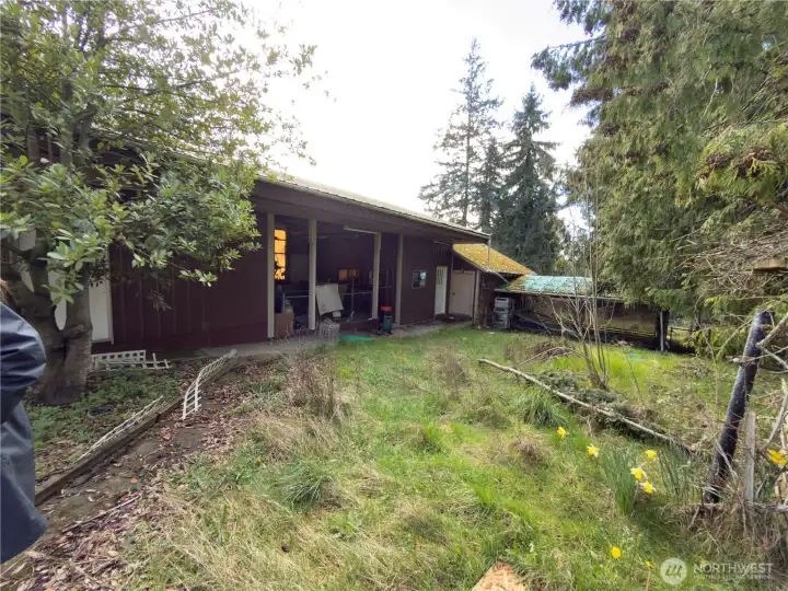 Outbuilding with commercial dog kennel set up