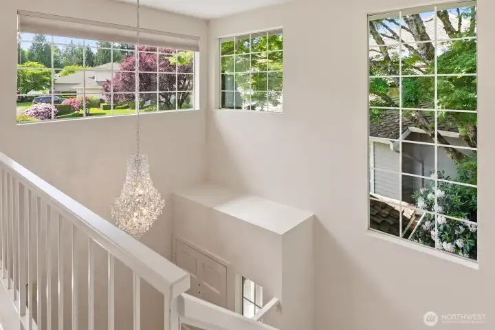 Beautiful windows