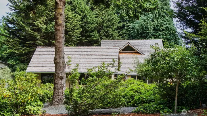 The "treehouse" at Kala Point.