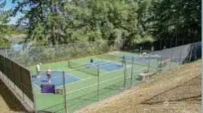 Pickleball courts