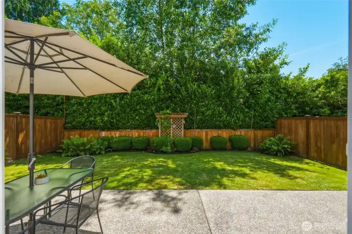 Just a teaser of the backyard oasis Just a teaser of the backyard oasis