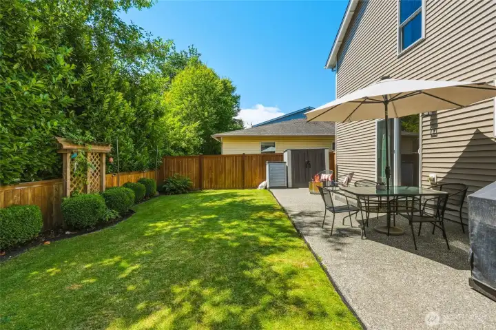 backyard oasis vibes backyard oasis vibes