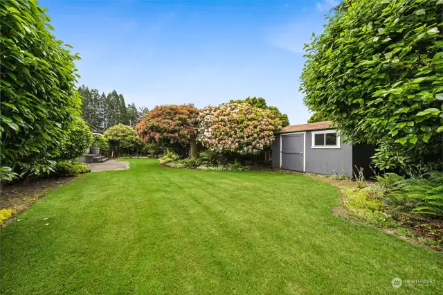 Mature landscaped surrounds the storage shed.