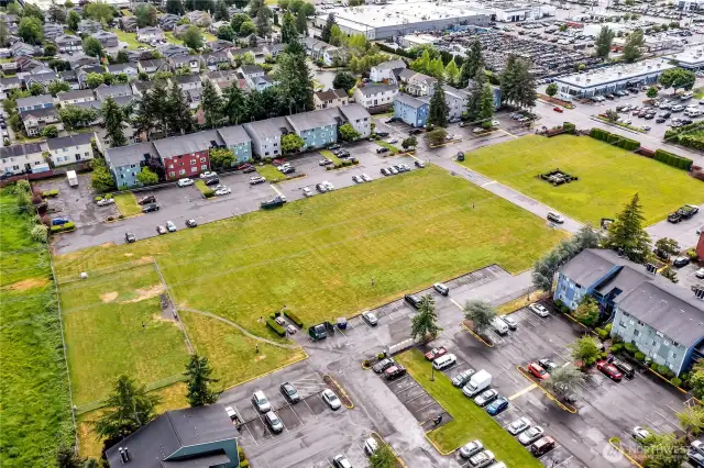 Large Green Space
