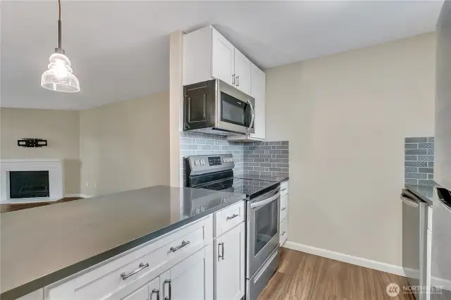 Fully updated white soft close cabinets, tlle backsplash and SS appliance
