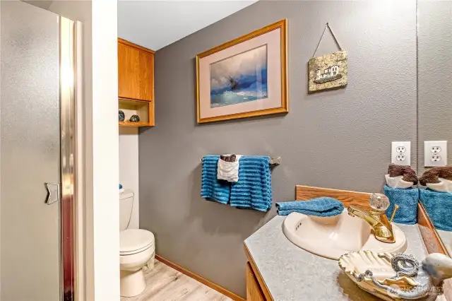 Main level bath with shower