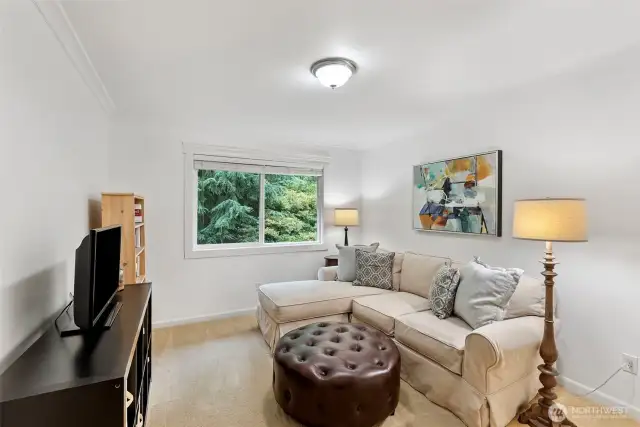 Bedroom 4, currently used as a cozy TV room.