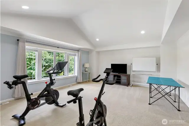 Bonus room with exercise equipment, a TV, and a ping pong table.