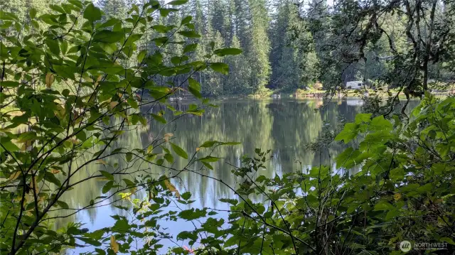 View from South side of lake