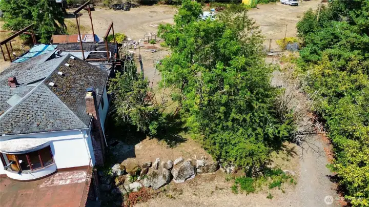 Mature fruit trees.  Apple, pear and cherry.