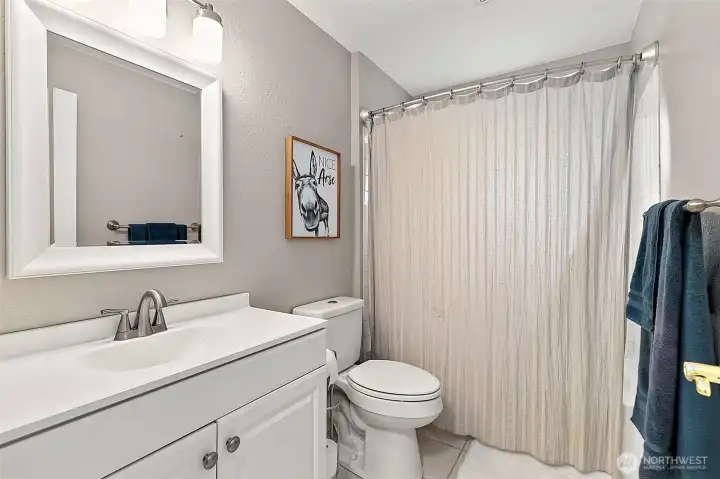 Lower level full size bathroom.