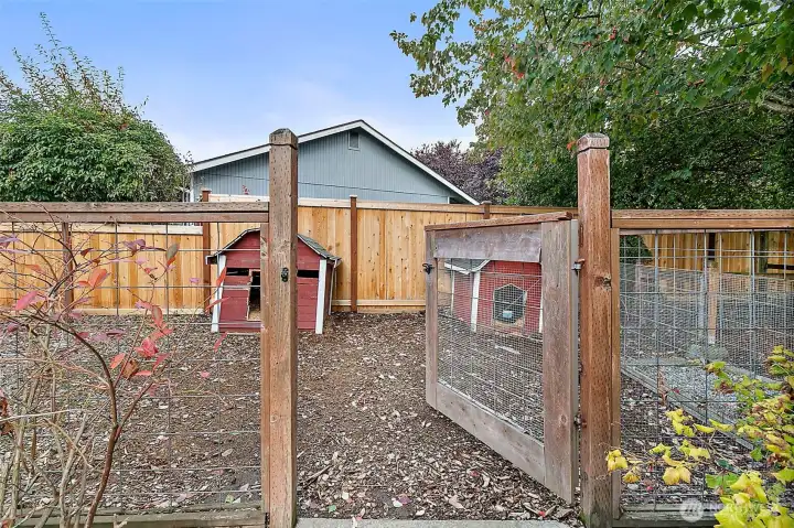 Fully fenced dog run with two dog houses.