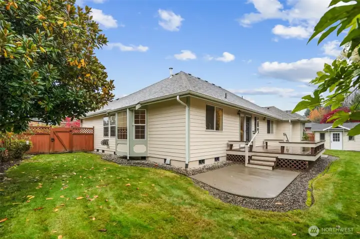 Another view of the awesome backyard.