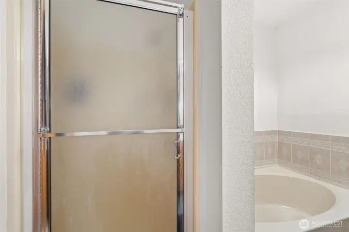 Primary Shower and Bath