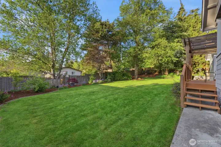 GREAT backyard!
