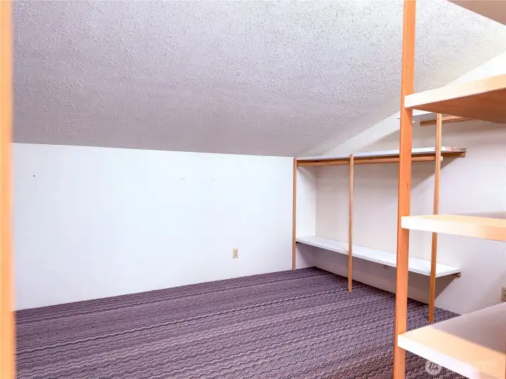 Primary walk in closet