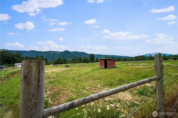 Fenced Pasture View Fenced Pasture View