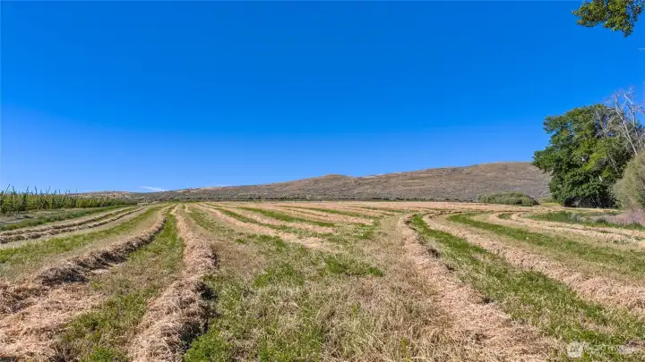 Lot 1 of 4 lots for sale.
