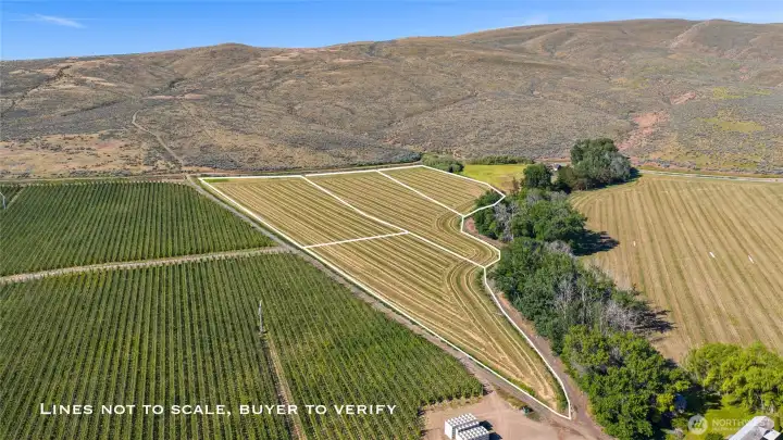 All 4 lots with approximate lot lines.