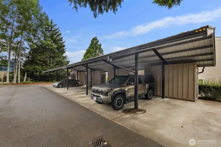 Carport is first on right, storage closet is located on right side of space.