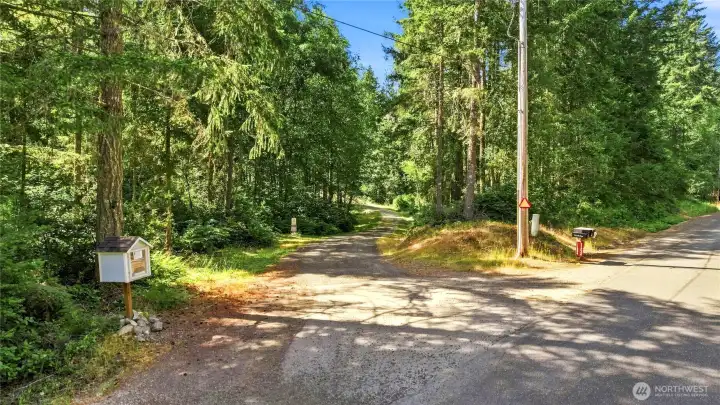 A tree lined driveway provides peace and tranquility A tree lined driveway provides peace and tranquility