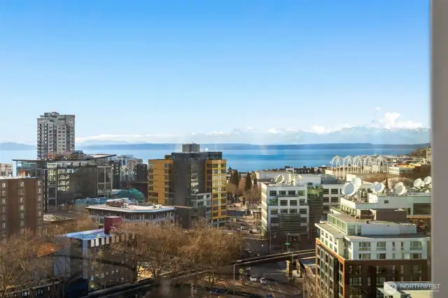 Puget Sound & Olympic Mtn views from the Unit