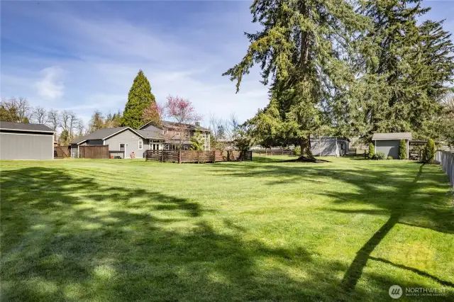 Serene back yard