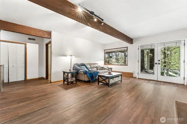 Downstairs family room