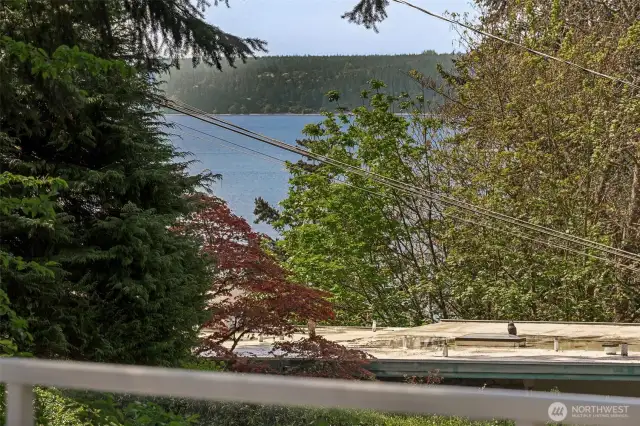 Partial views of Puget Sound