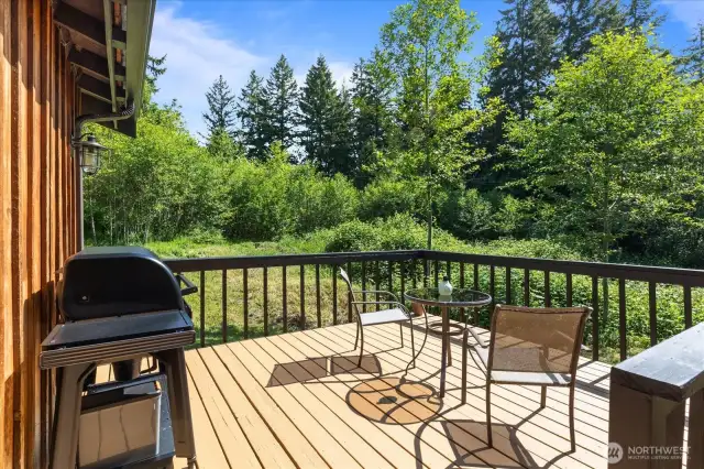 Deck area off kitchen and den/family room.