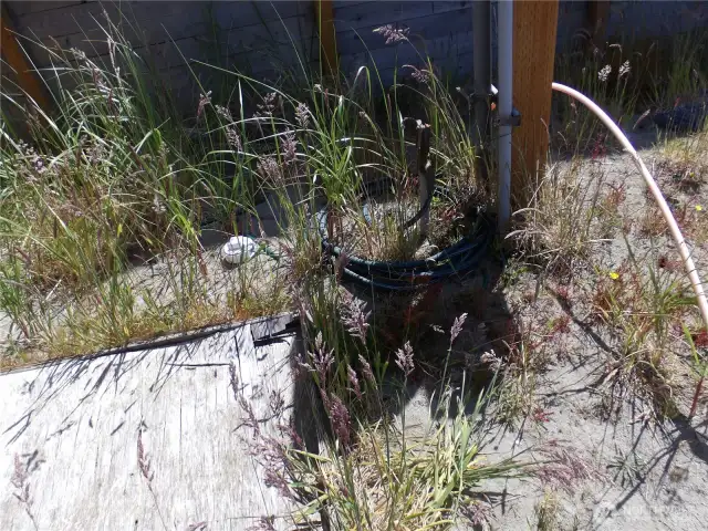 RV hook up w septic dump on south side of property.