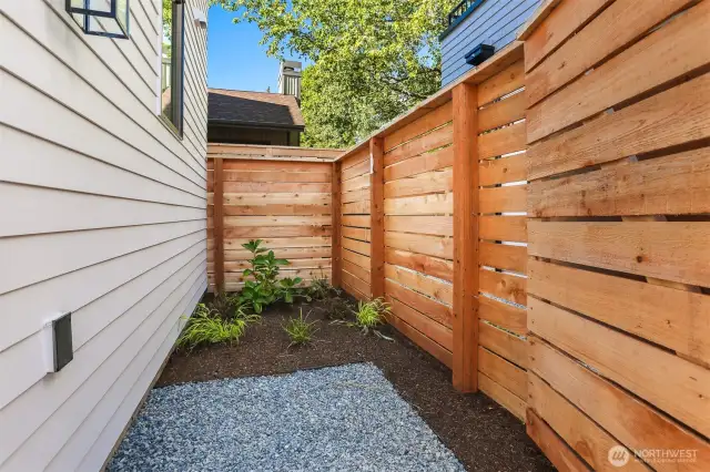 Back Garden Area