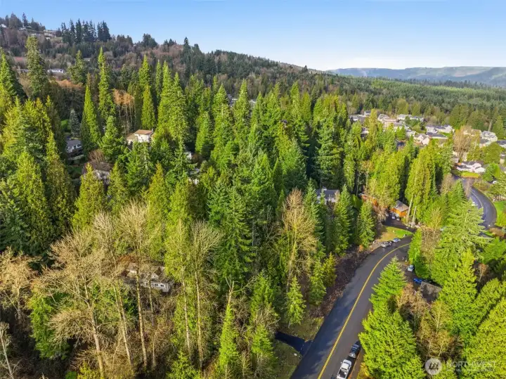 Neighborhood setting with plenty of elbow room