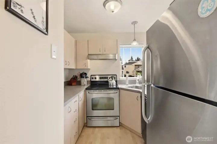 Stainless Steel appliances.