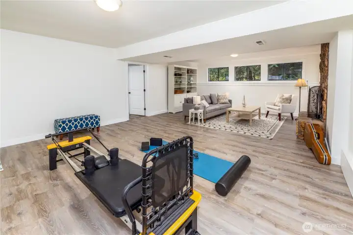 Lower level rec room