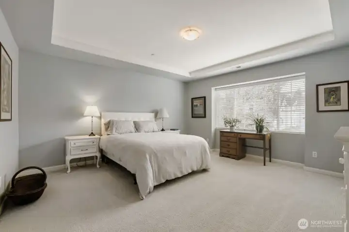 You can luxuriate in this immense Primary Suite with a high inset ceiling and wall of windows that bring in the light.  Freshly painted in a pale, soft blue color palette.