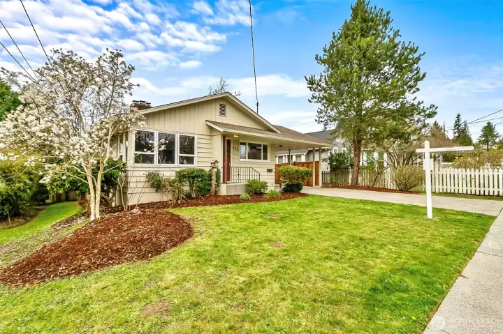 Established landscaping, big front yard