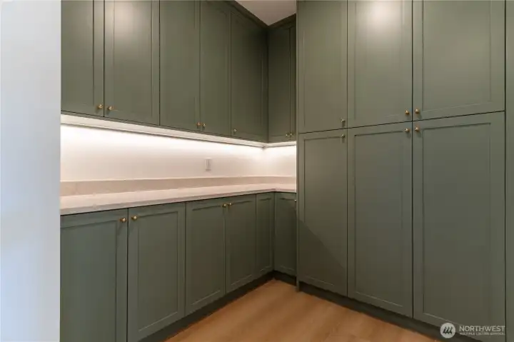 Walk-in pantry with floor-to-ceiling sage cabinetry, quartz counter, and under-cabinet lighting.