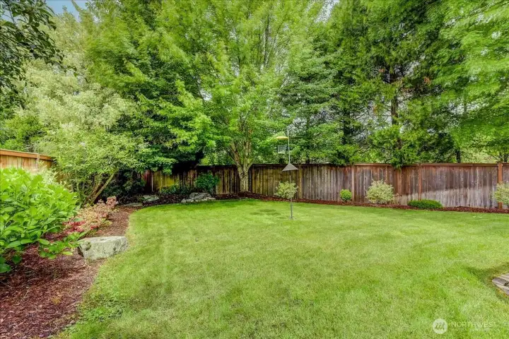 What a lovely yard!