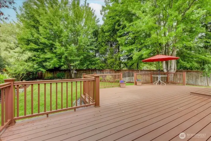 Expanded deck great for entertaining or just relaxing. No neighbor behind you!