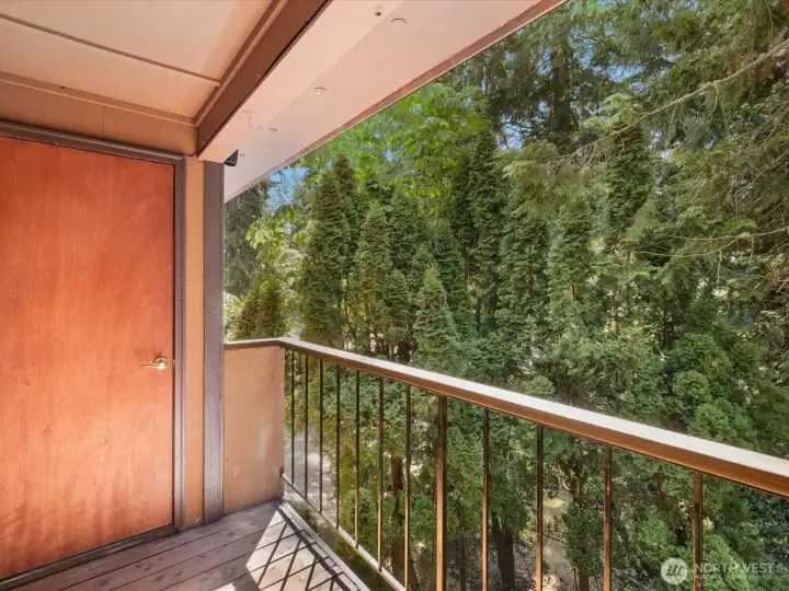 Storage Closet on Balcony