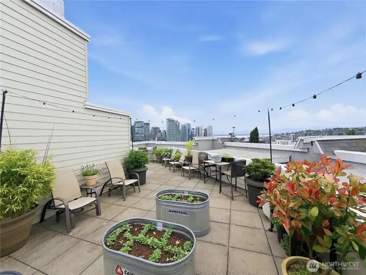 Beautiful rooftop deck!