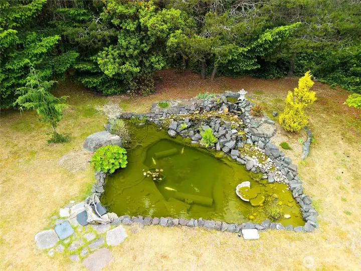 You will love relaxing here watching the fish, and the sound of falling water.