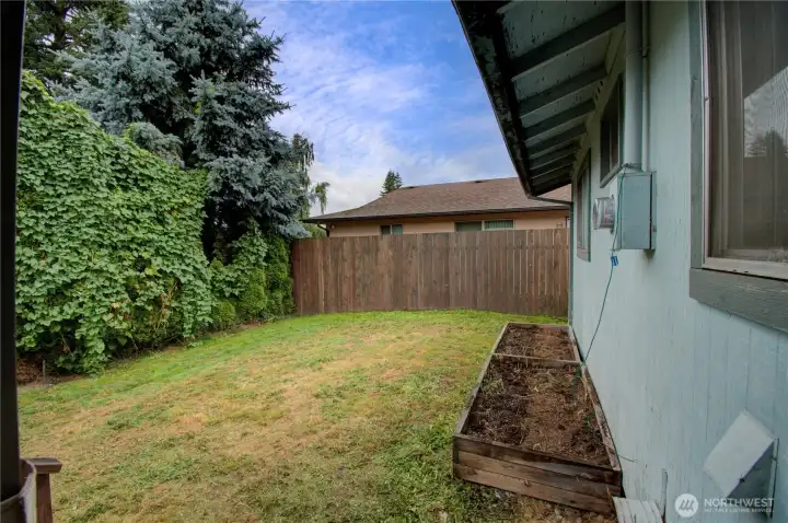 back yard